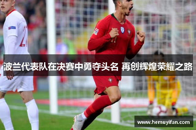 波兰代表队在决赛中勇夺头名 再创辉煌荣耀之路