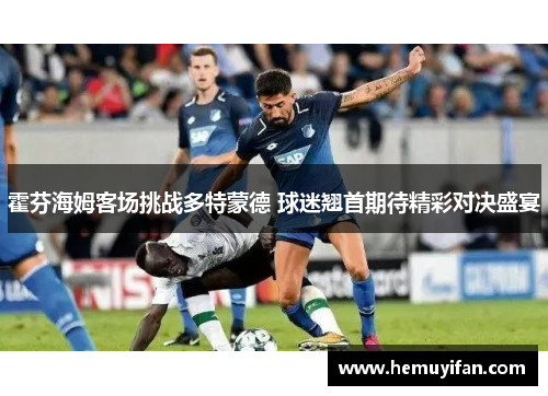 霍芬海姆客场挑战多特蒙德 球迷翘首期待精彩对决盛宴