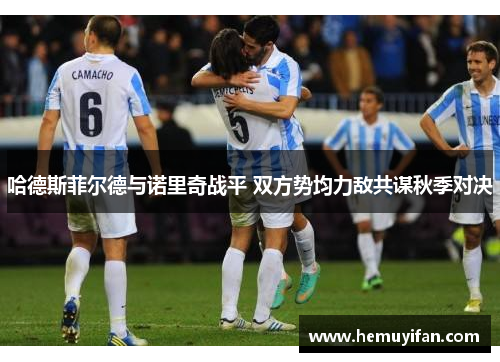 哈德斯菲尔德与诺里奇战平 双方势均力敌共谋秋季对决
