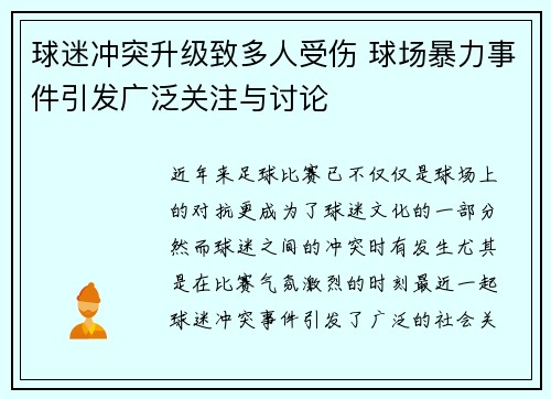球迷冲突升级致多人受伤 球场暴力事件引发广泛关注与讨论
